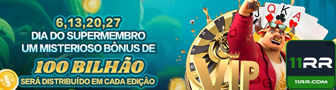 11rr.com - intuitiva interface premium para explorar